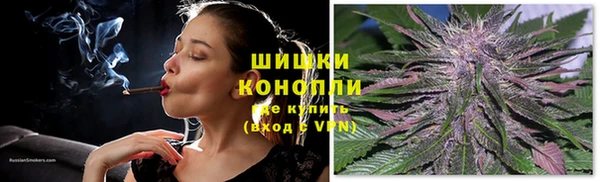 твердый Богданович