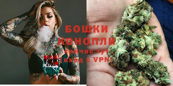 твердый Богданович
