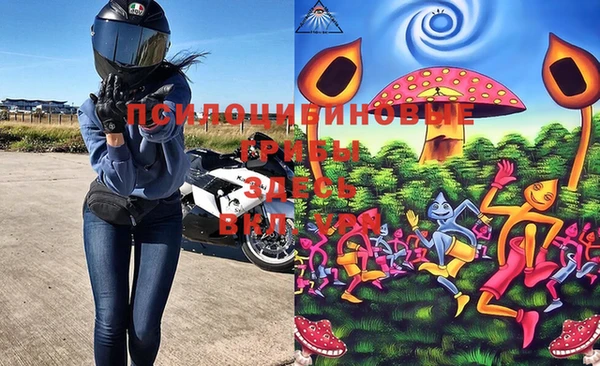 a pvp Богородск