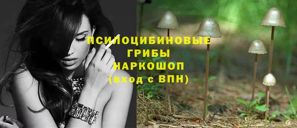 твердый Богданович