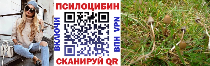 Псилоцибиновые грибы мухоморы  Волжск 